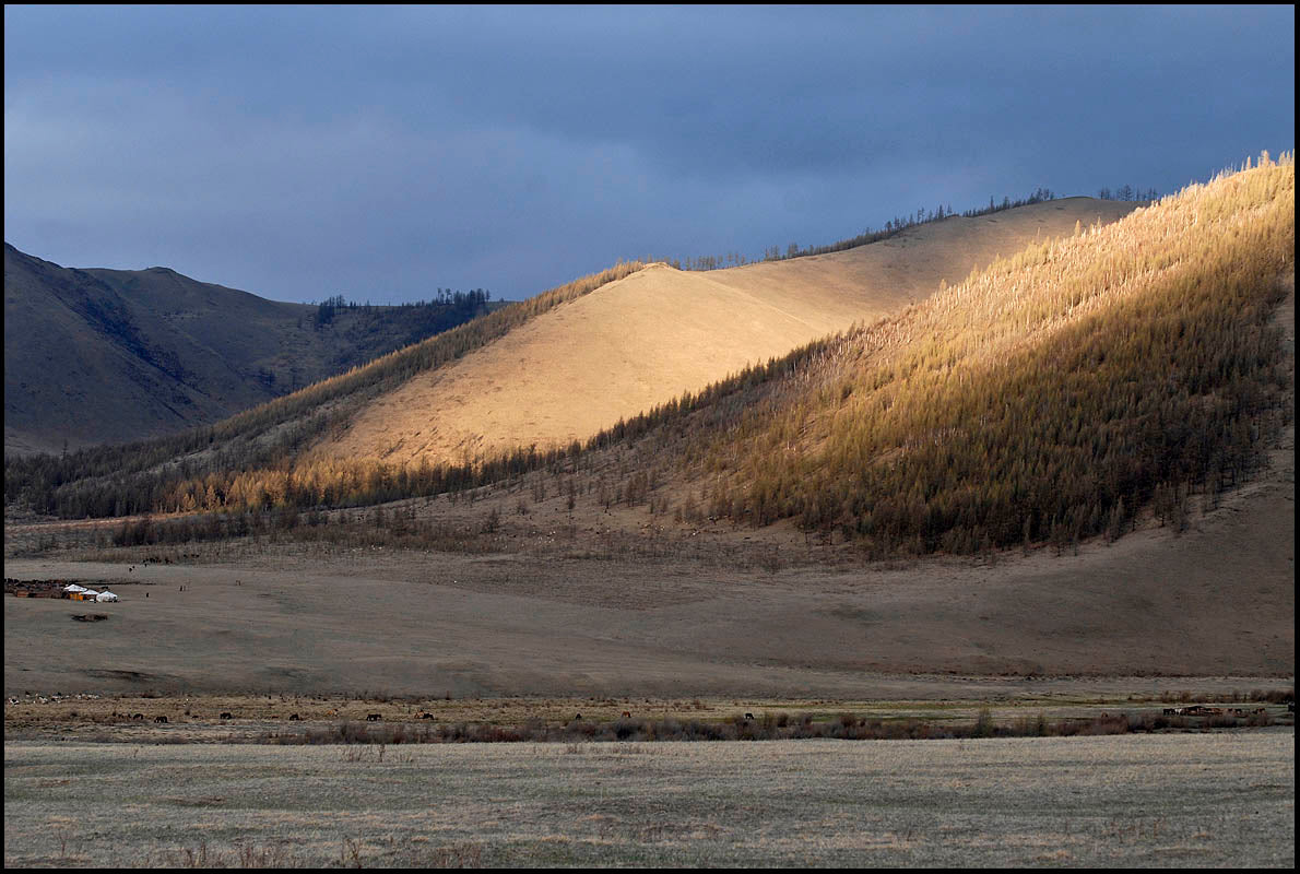 ‘Jalman Meadows’, Mongolia