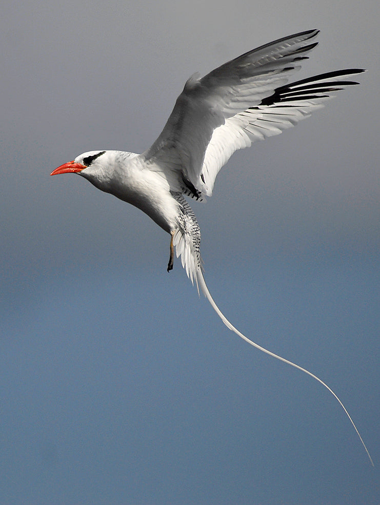 Raso, Cape Verde Islands