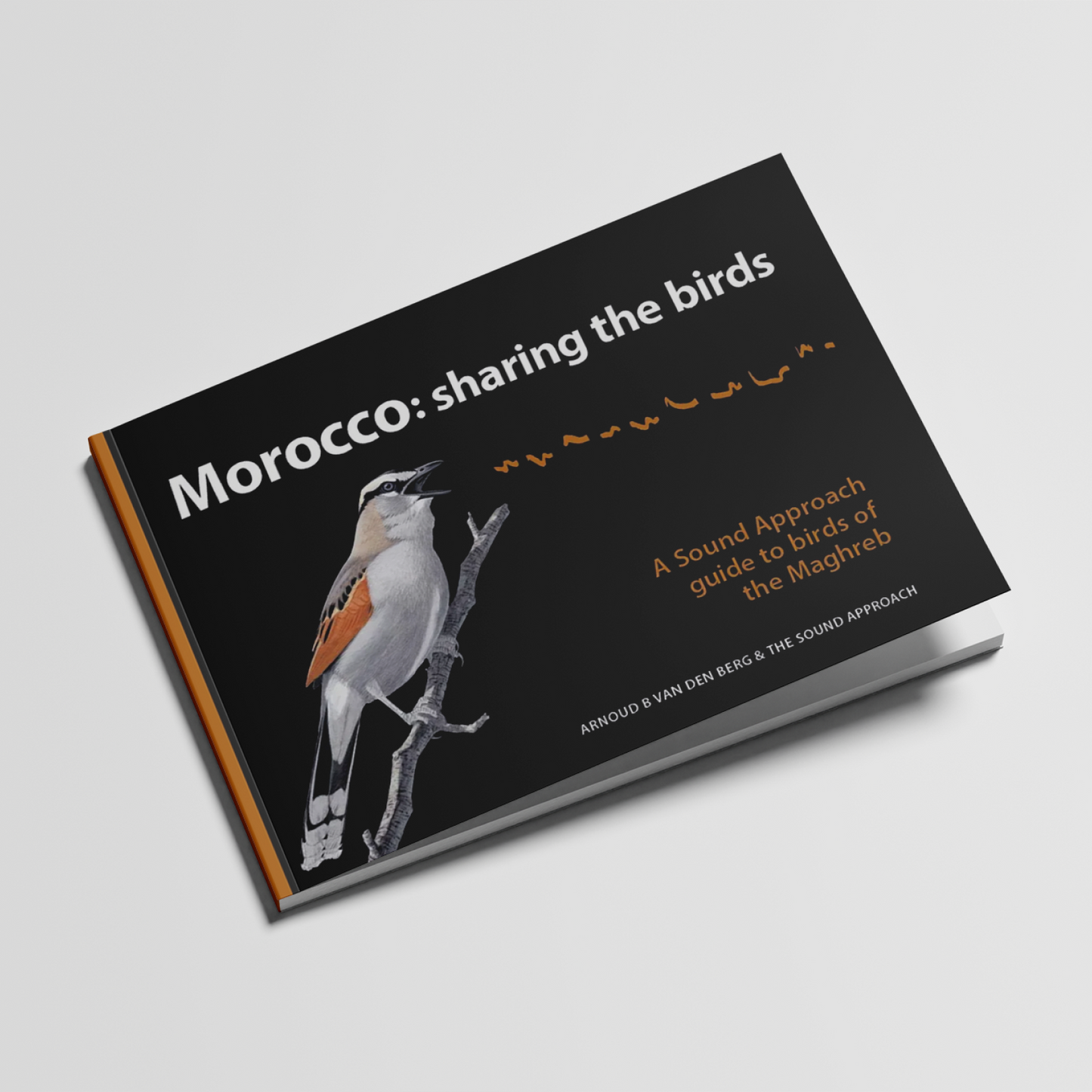 Morocco: sharing the birds (2020)