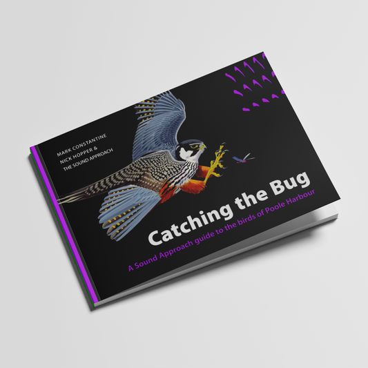 Catching the Bug (2012)