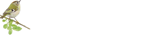 Sound Approach