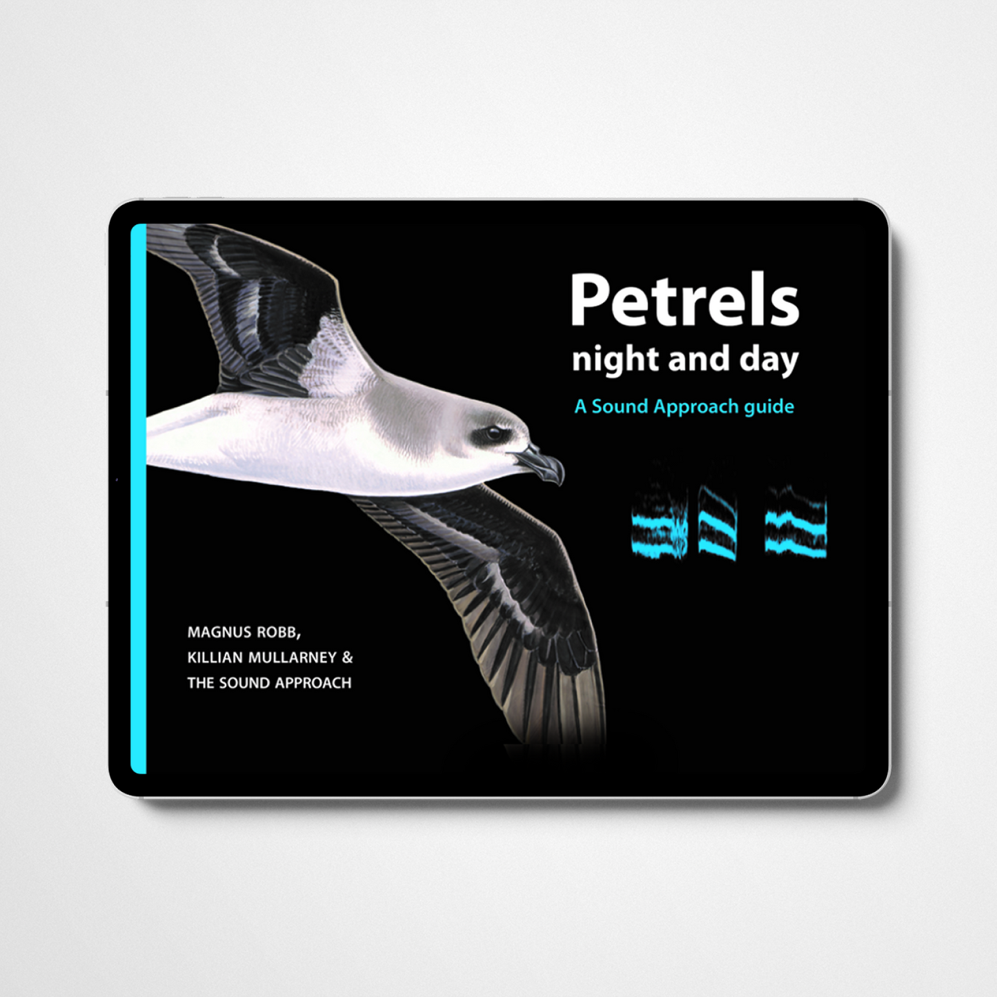 Petrels: night and day (2008)