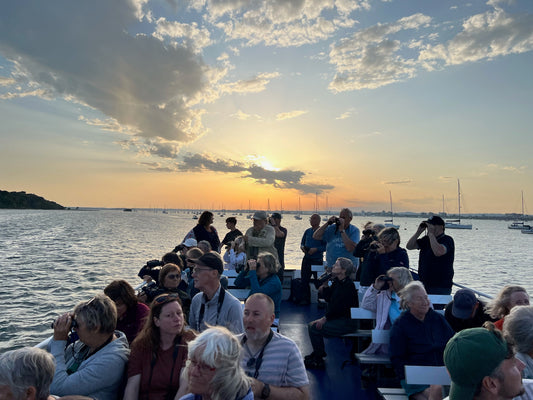 Release: Celebrate the magic of bird song at an exclusive Poole Harbour event
