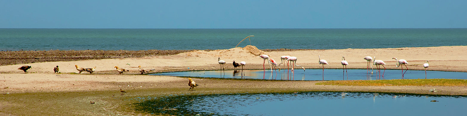 Masirah and Shannah, Oman