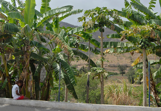Santiago, Cape Verde Islands
