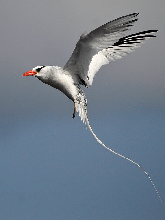 Raso, Cape Verde Islands