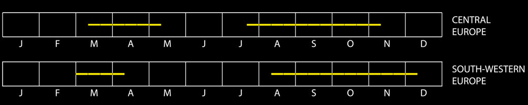 Eurasian Bittern – Sound Approach