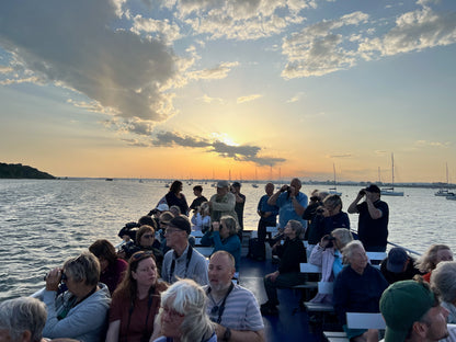 Exclusive event: Book Launch & Birding Boat, Poole Harbour