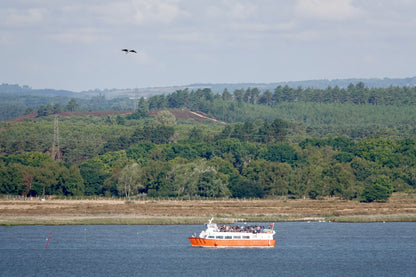 Exclusive event: Book Launch & Birding Boat, Poole Harbour