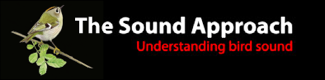The Sound Approach