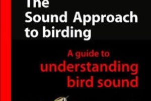 sound-approach-to-birding