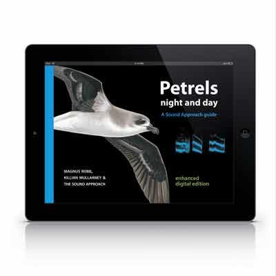 Petrels night and day – iBook - The Sound Approach
