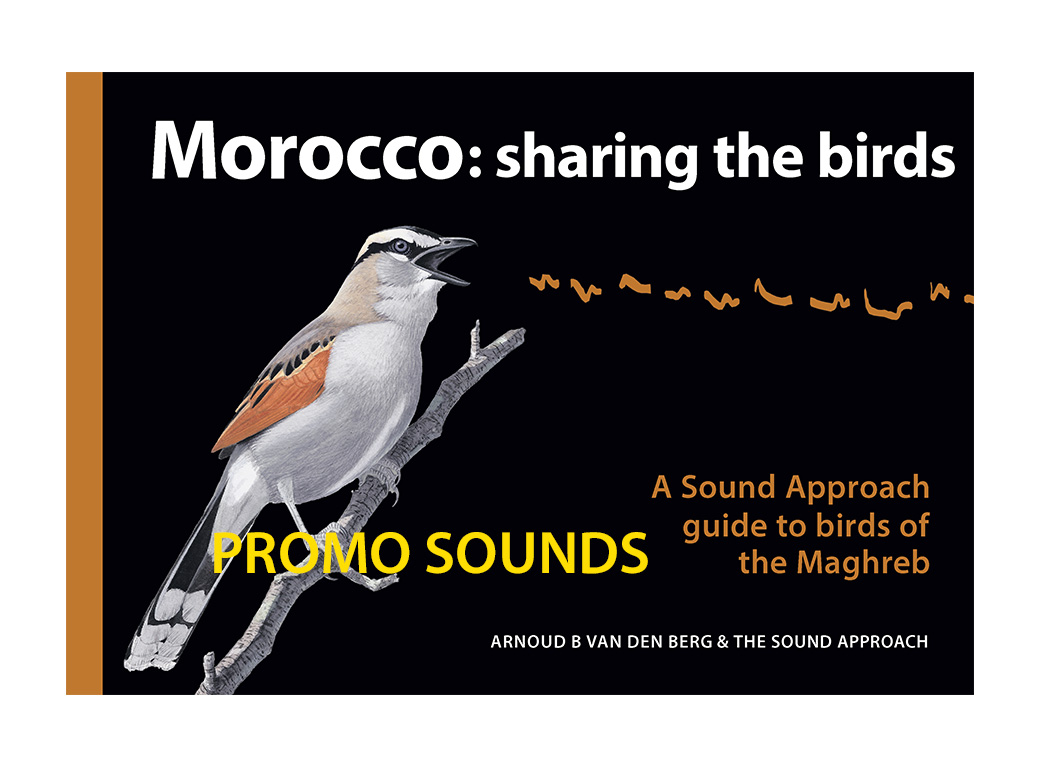 Promo Sounds - Morocco: sharing the birds - The Sound Approach